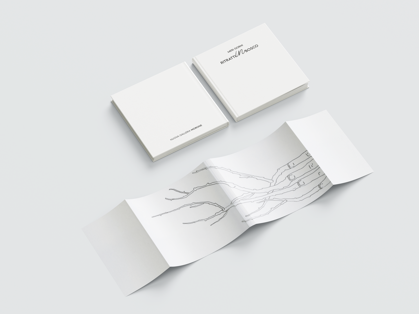 MERI GORNI | Ritratti in bosco