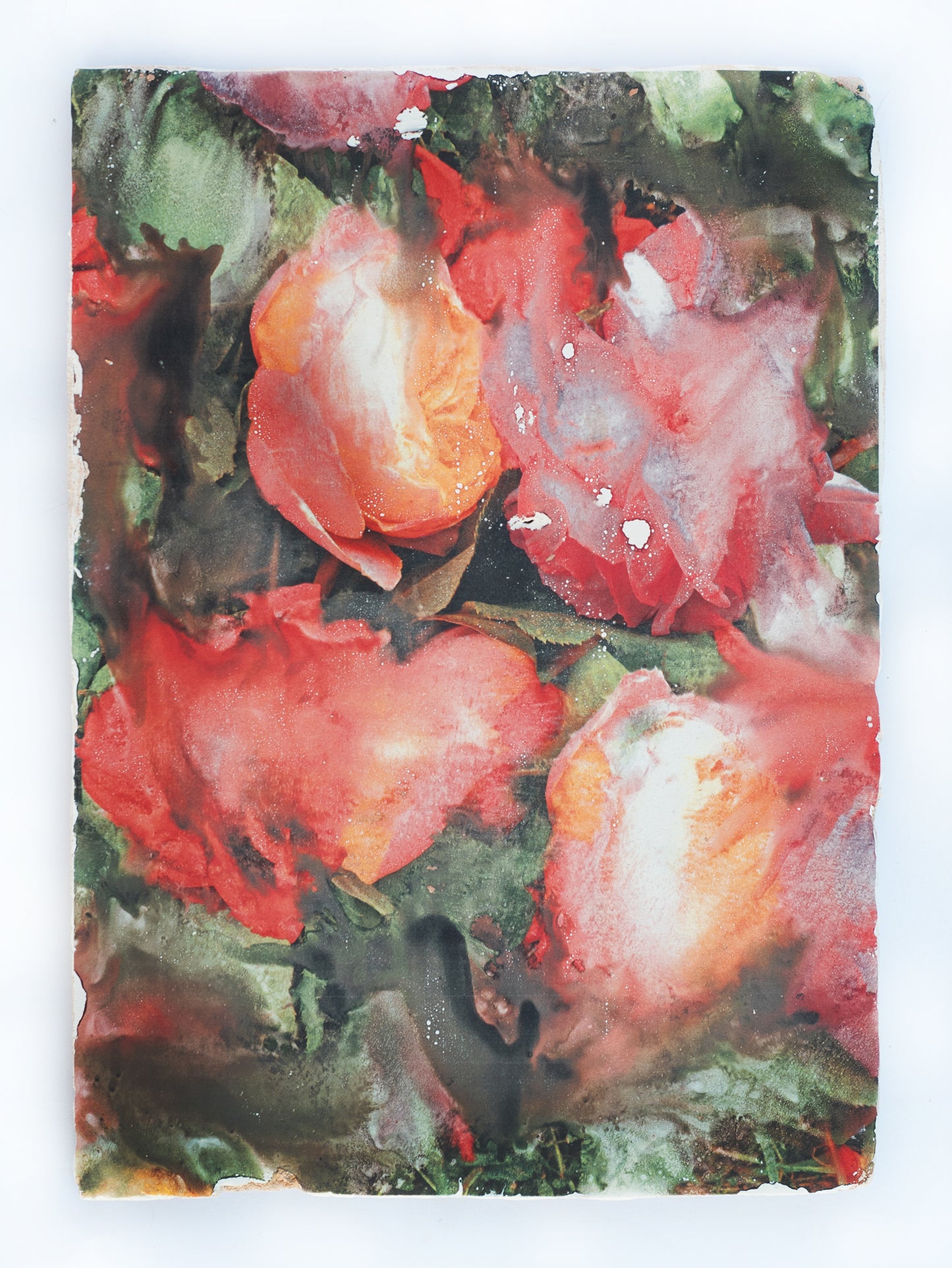 Forget Me Not II - Silvia Celeste Calcagno