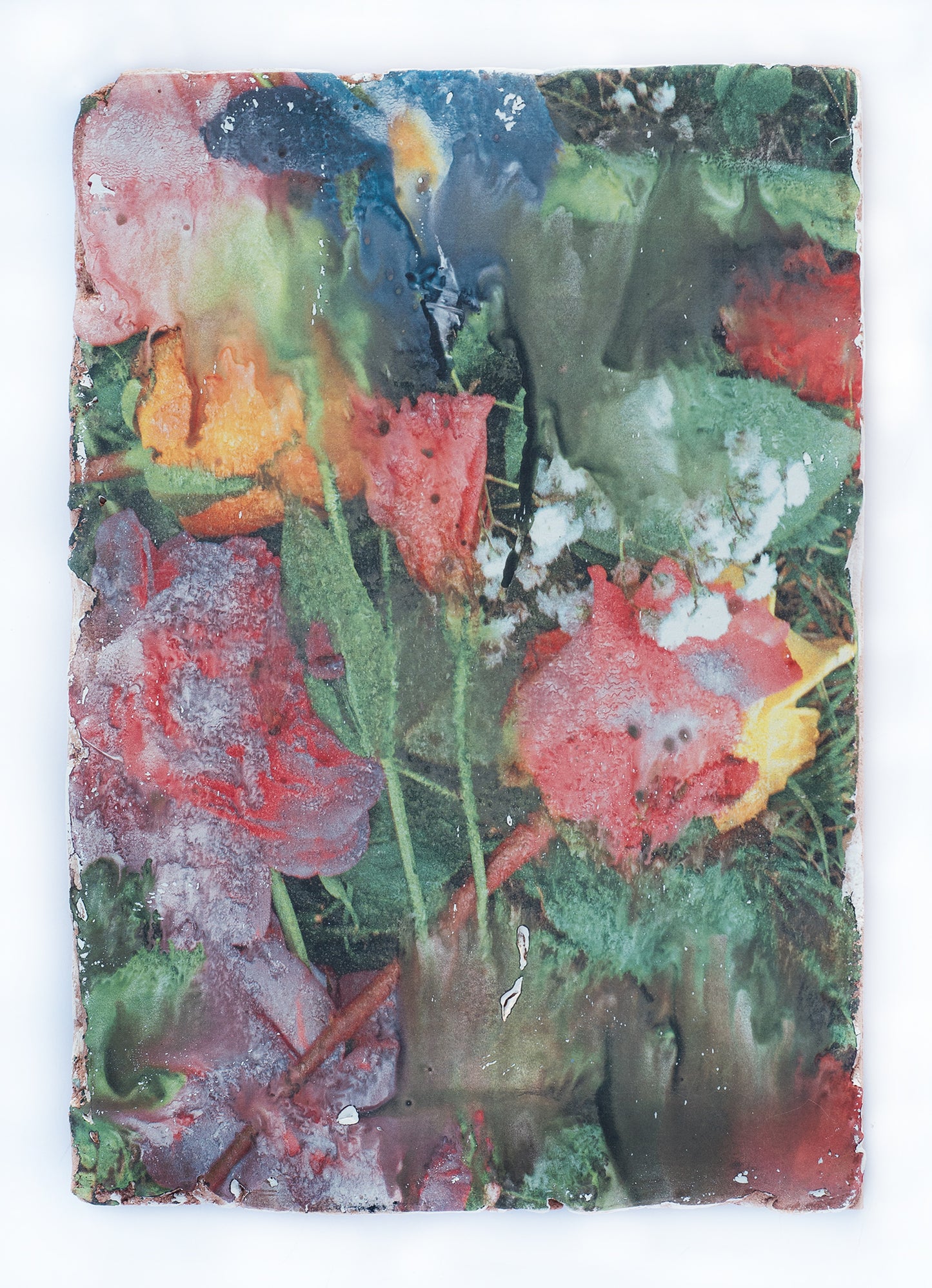 Forget me not V - Silvia Celeste Calcagno