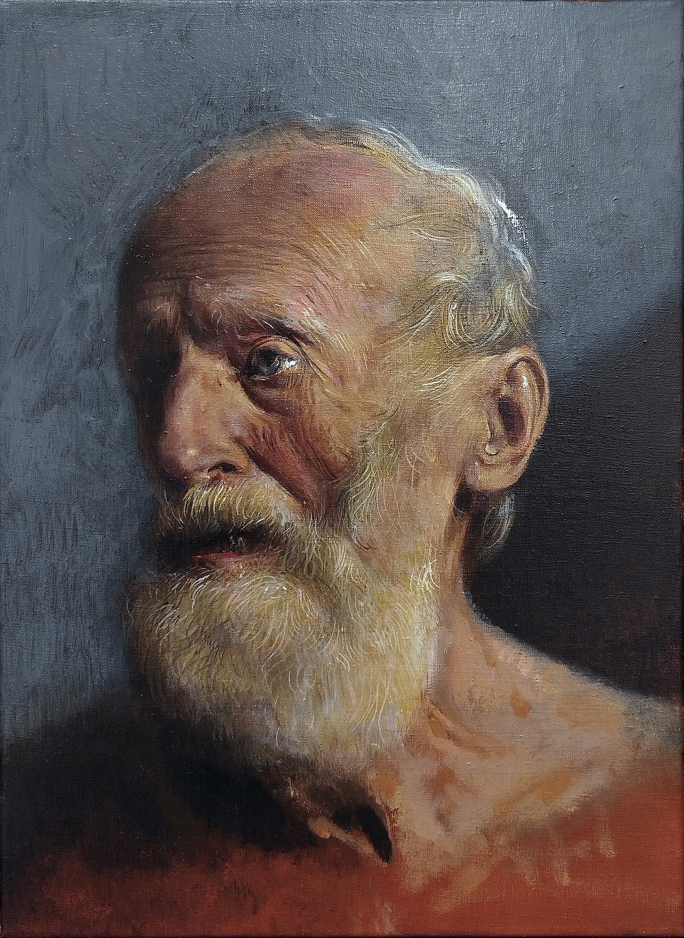 Studio di testa senile (Donato) - Giovanni Blanco