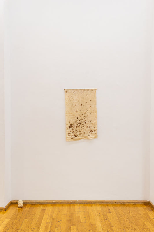 Ven-te-veo I - Madelaine Gamondés