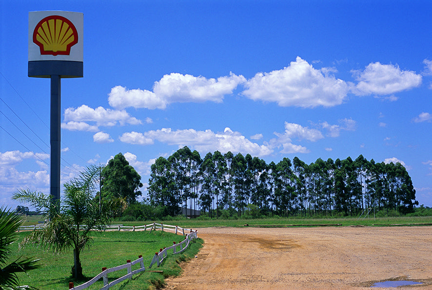 Shell - Félix Curto