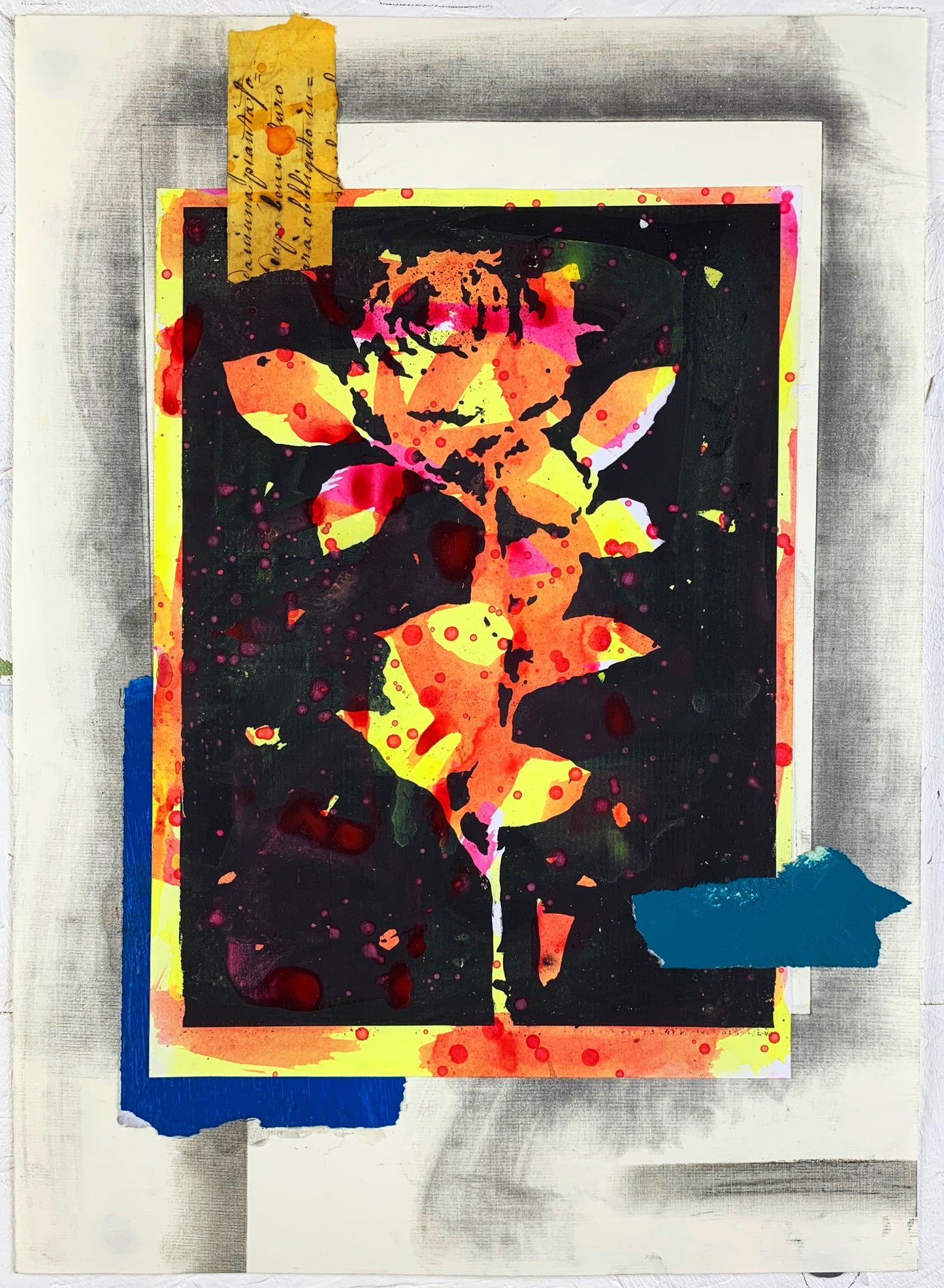 Rose #05 - Nicola Villa