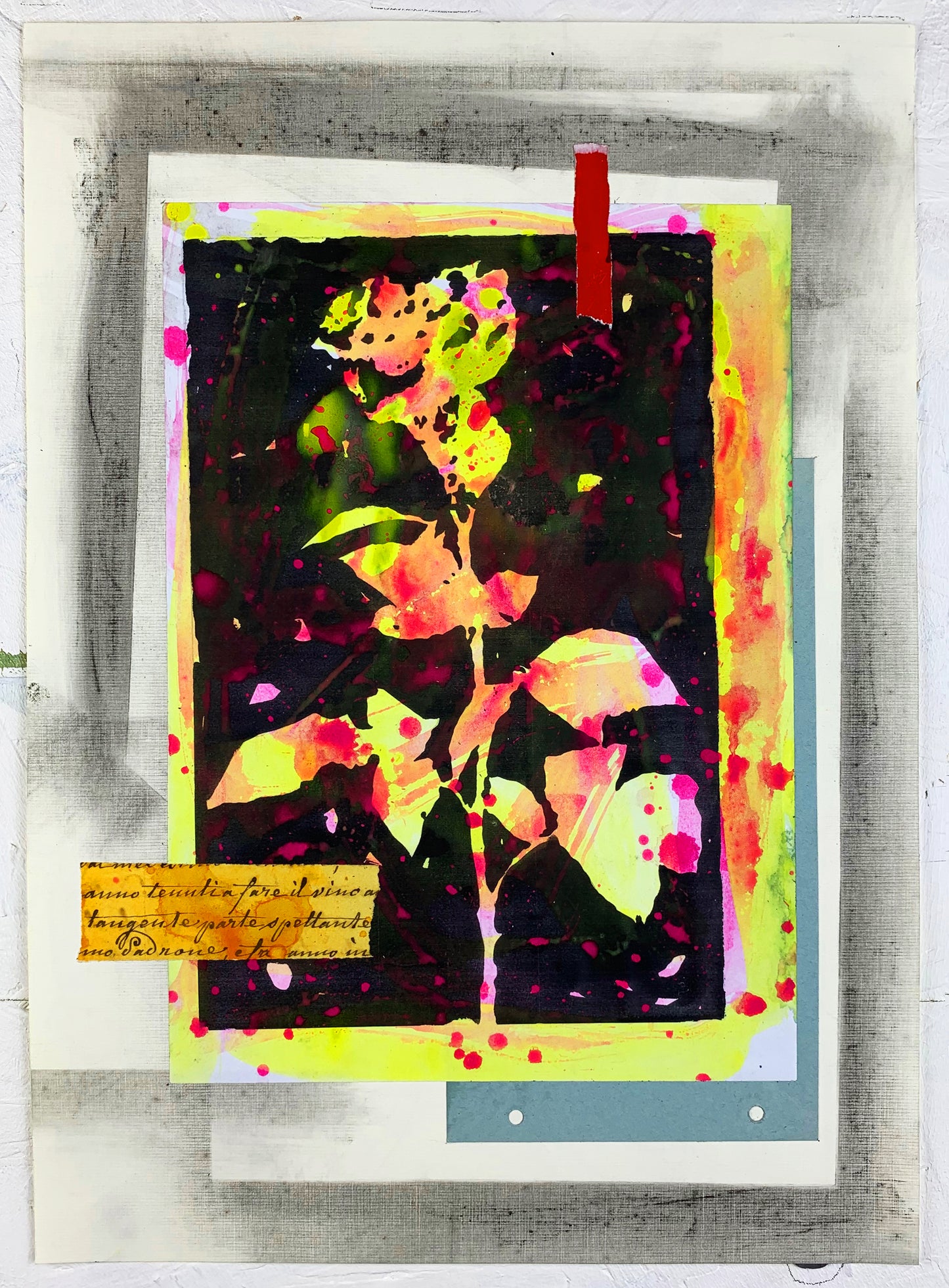 Rose #03 - Nicola Villa