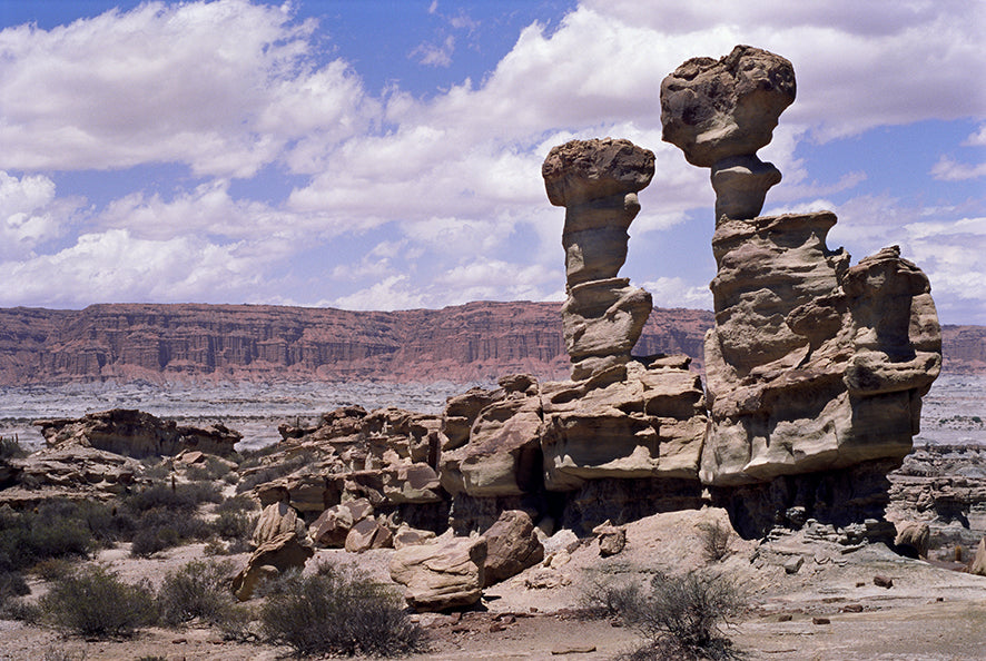 Brothers - Félix Curto