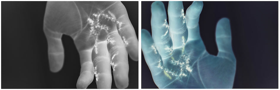 Que Digan Que Estoy Dormido - Alec Von Bargen