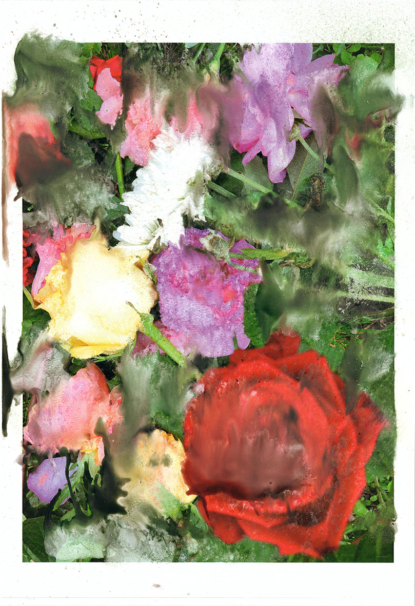 SILVIA CELESTE CALCAGNO