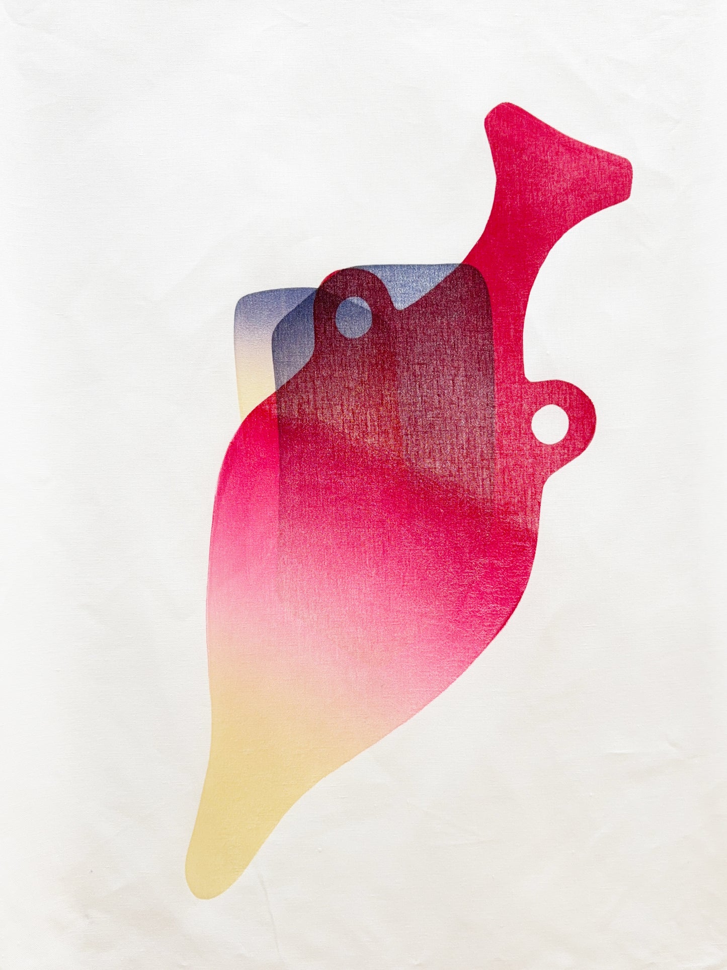 Contatto F2408 | T-yong Chung