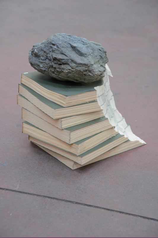 una pietra sopra  (serpentinite) | Marco Cordero