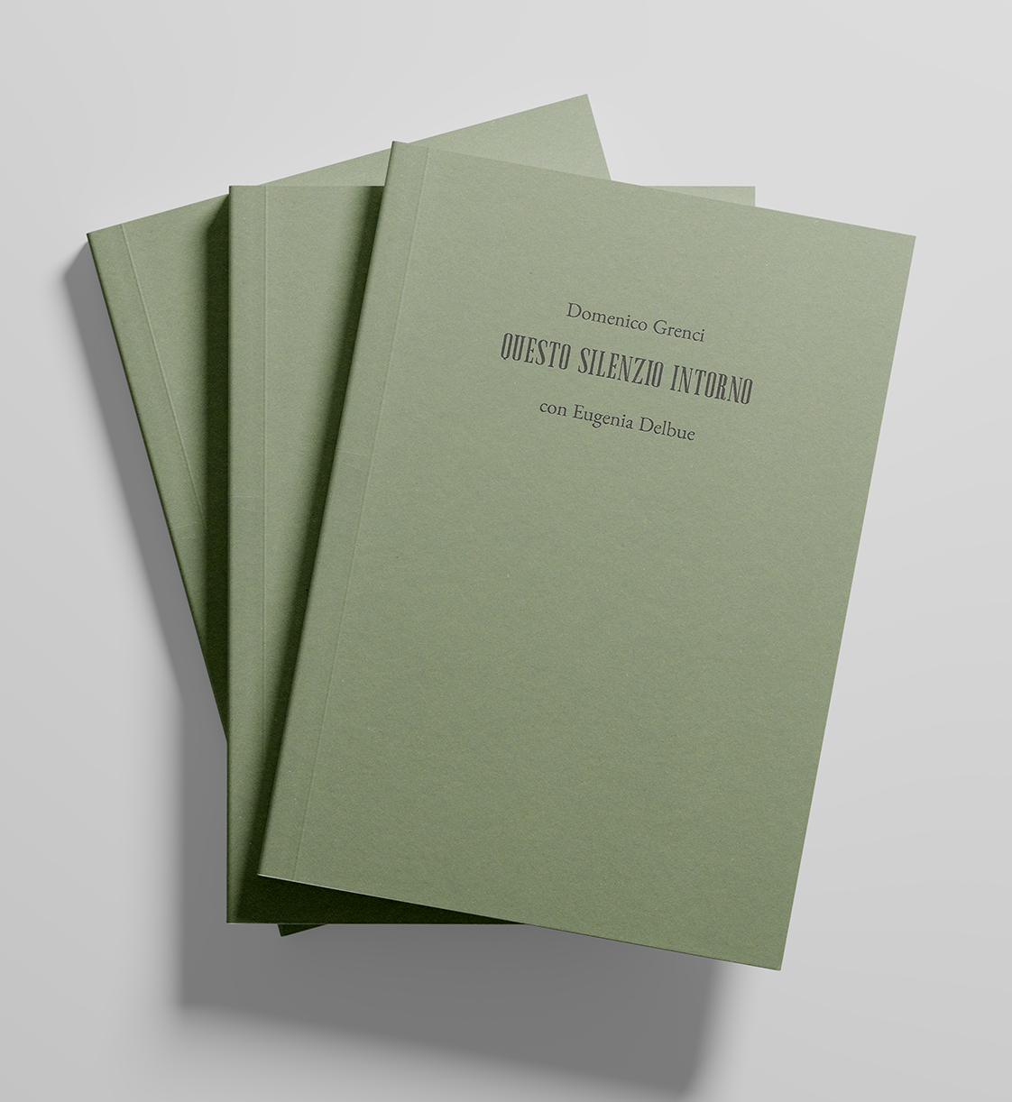 DOMENICO GRENCI | questo silenzio intorno
