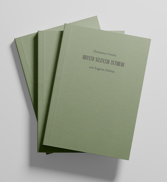 DOMENICO GRENCI | questo silenzio intorno