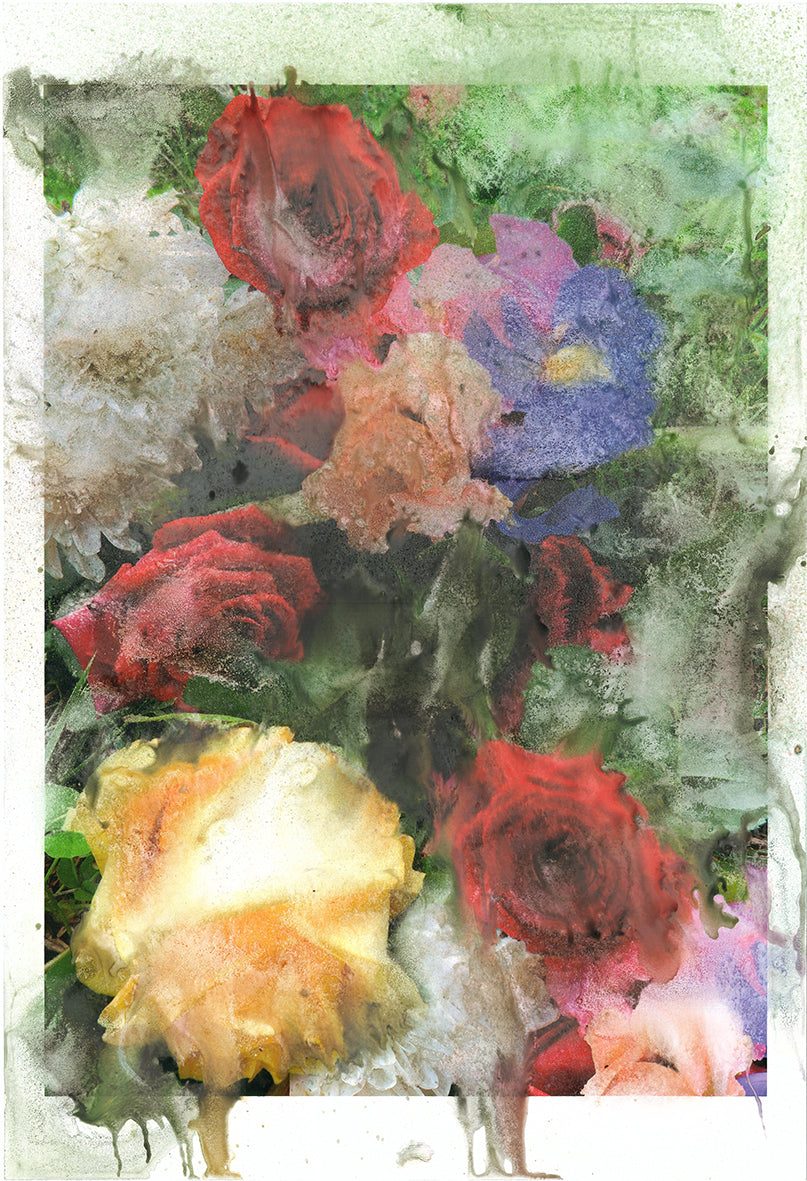 Forget Me Not III - Silvia Celeste Calcagno