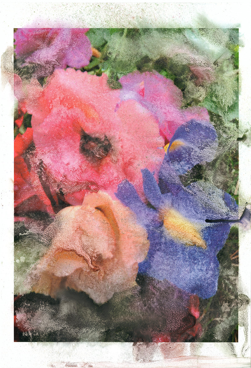 Forget Me Not II - Silvia Celeste Calcagno