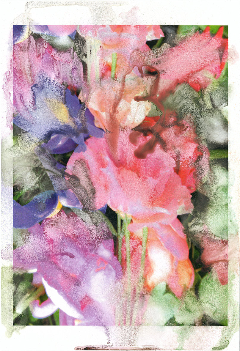 Forget Me Not I - Silvia Celeste Calcagno