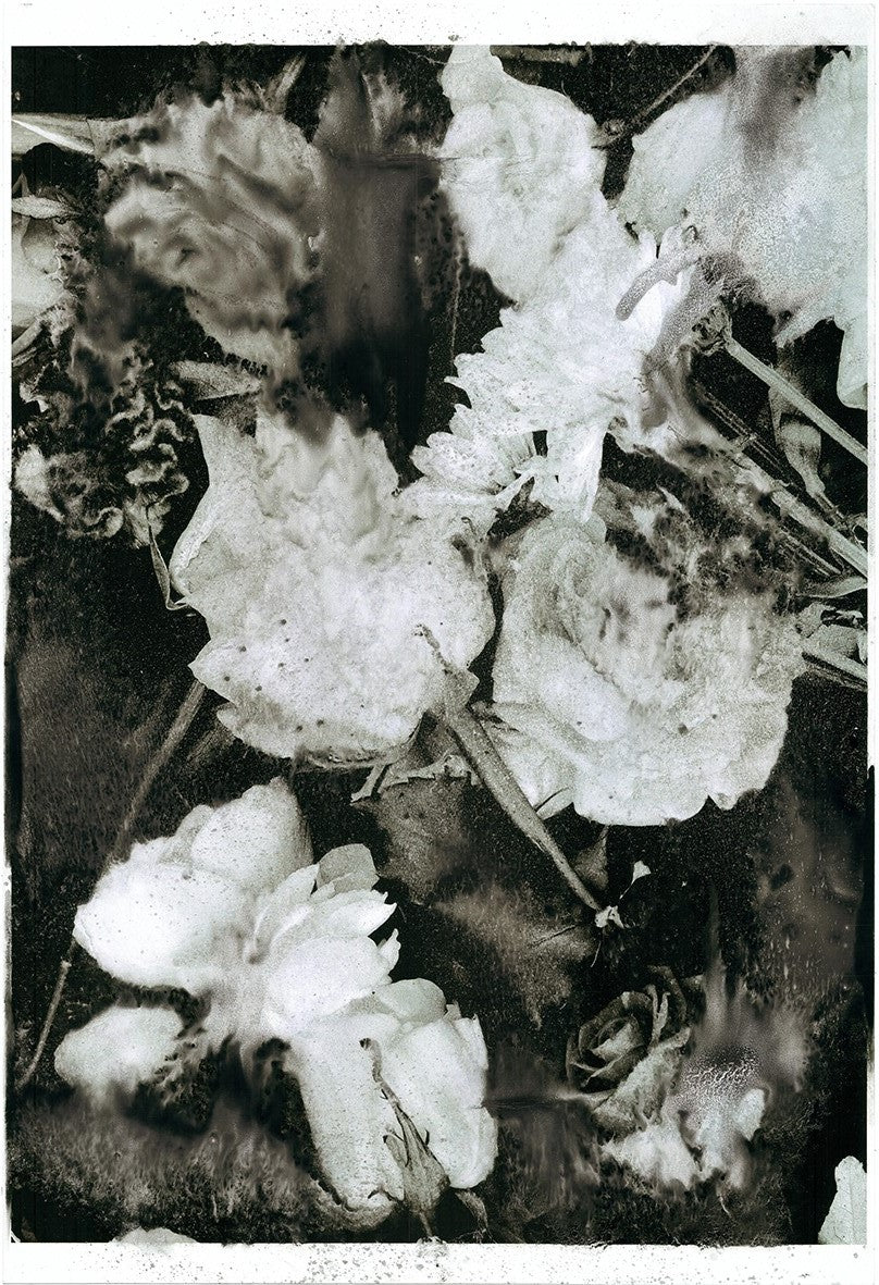 Forget Me Not IX - Silvia Celeste Calcagno