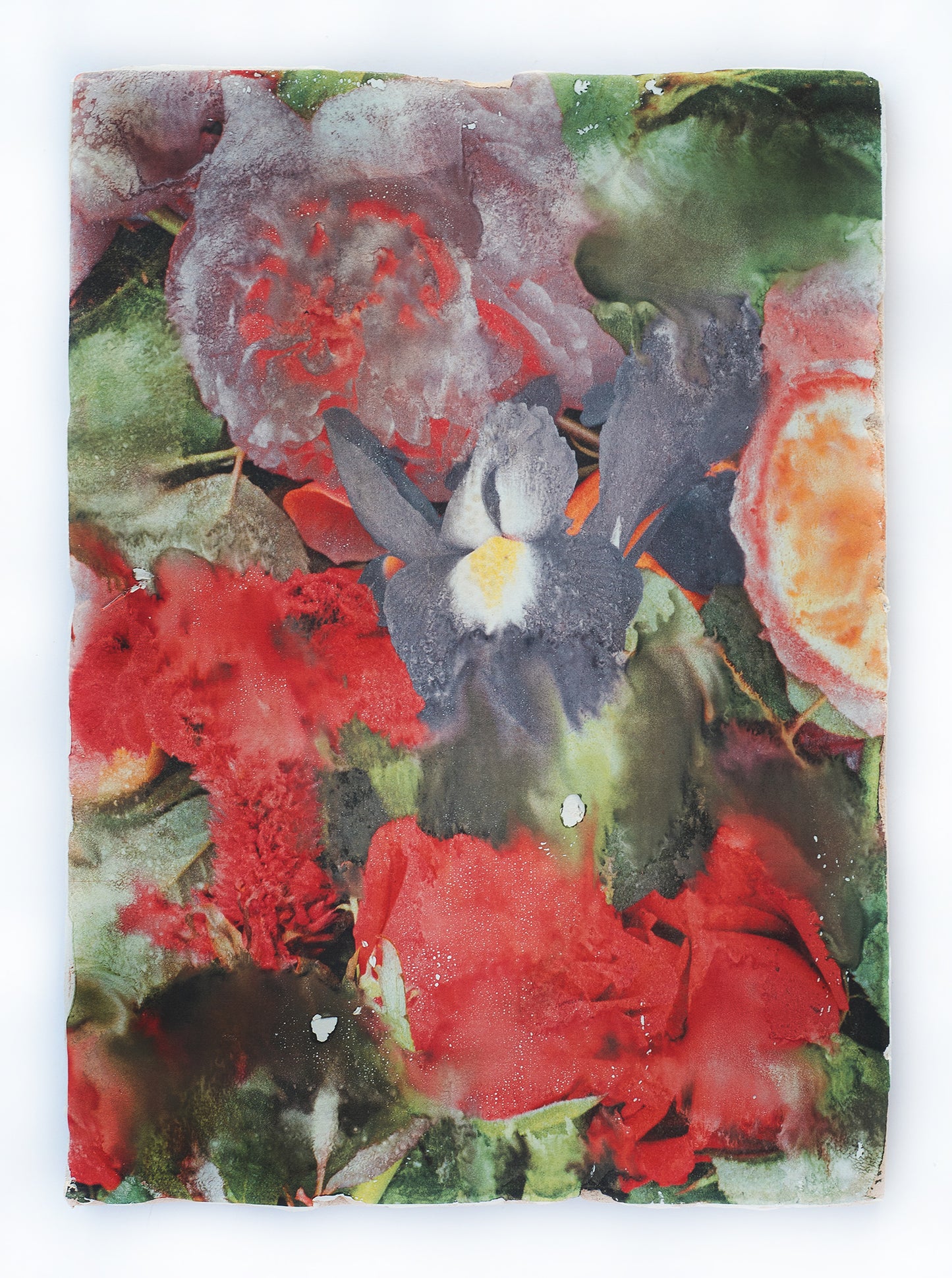 Forget Me Not III - Silvia Celeste Calcagno