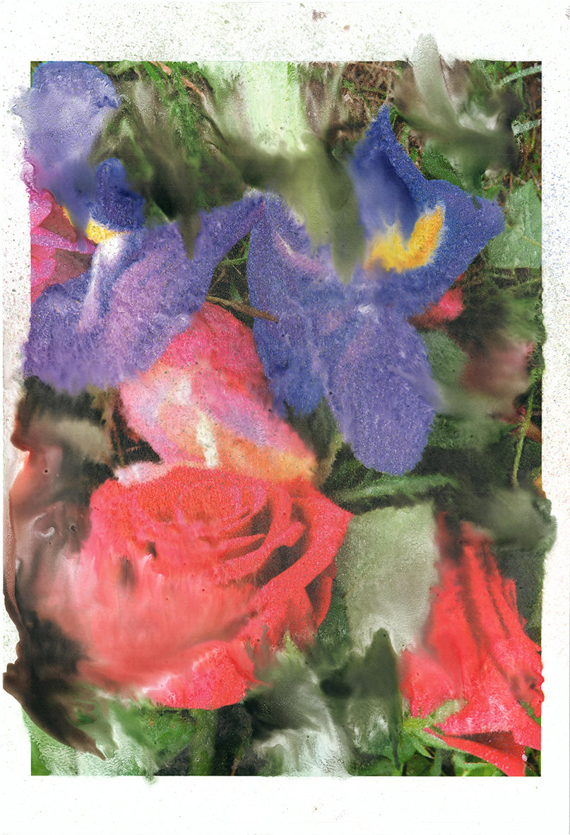 Forget Me Not VII - Silvia Celeste Calcagno