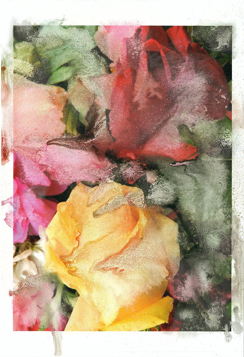 Forget Me Not VI - Silvia Celeste Calcagno