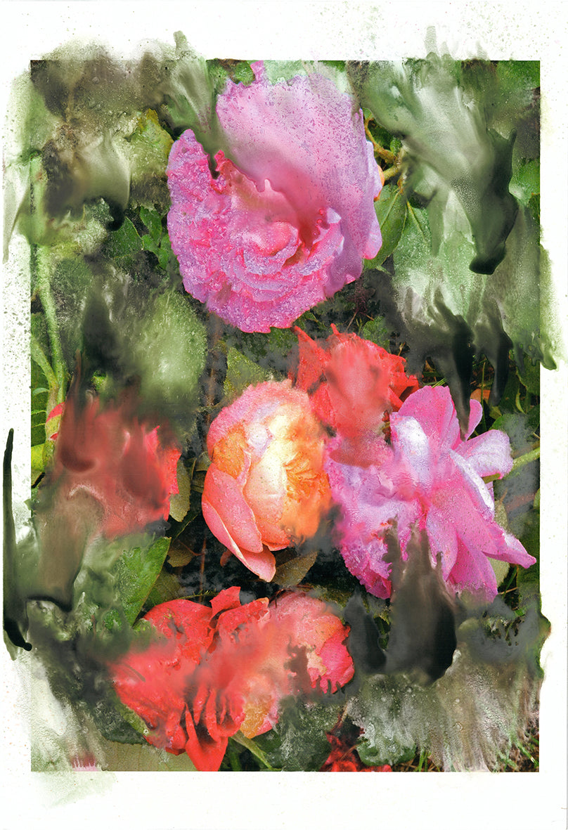 Forget Me Not V - Silvia Celeste Calcagno