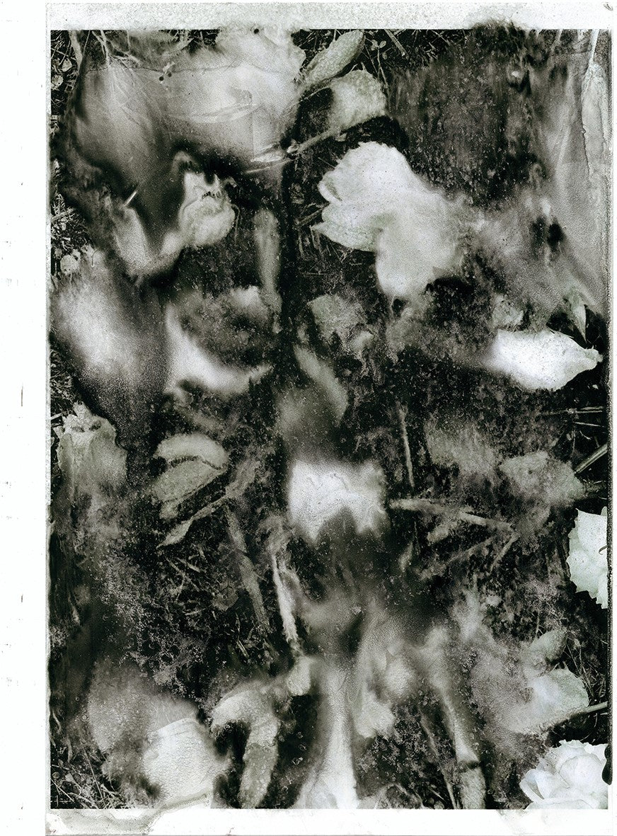 Forget Me Not XIII - Silvia Celeste Calcagno