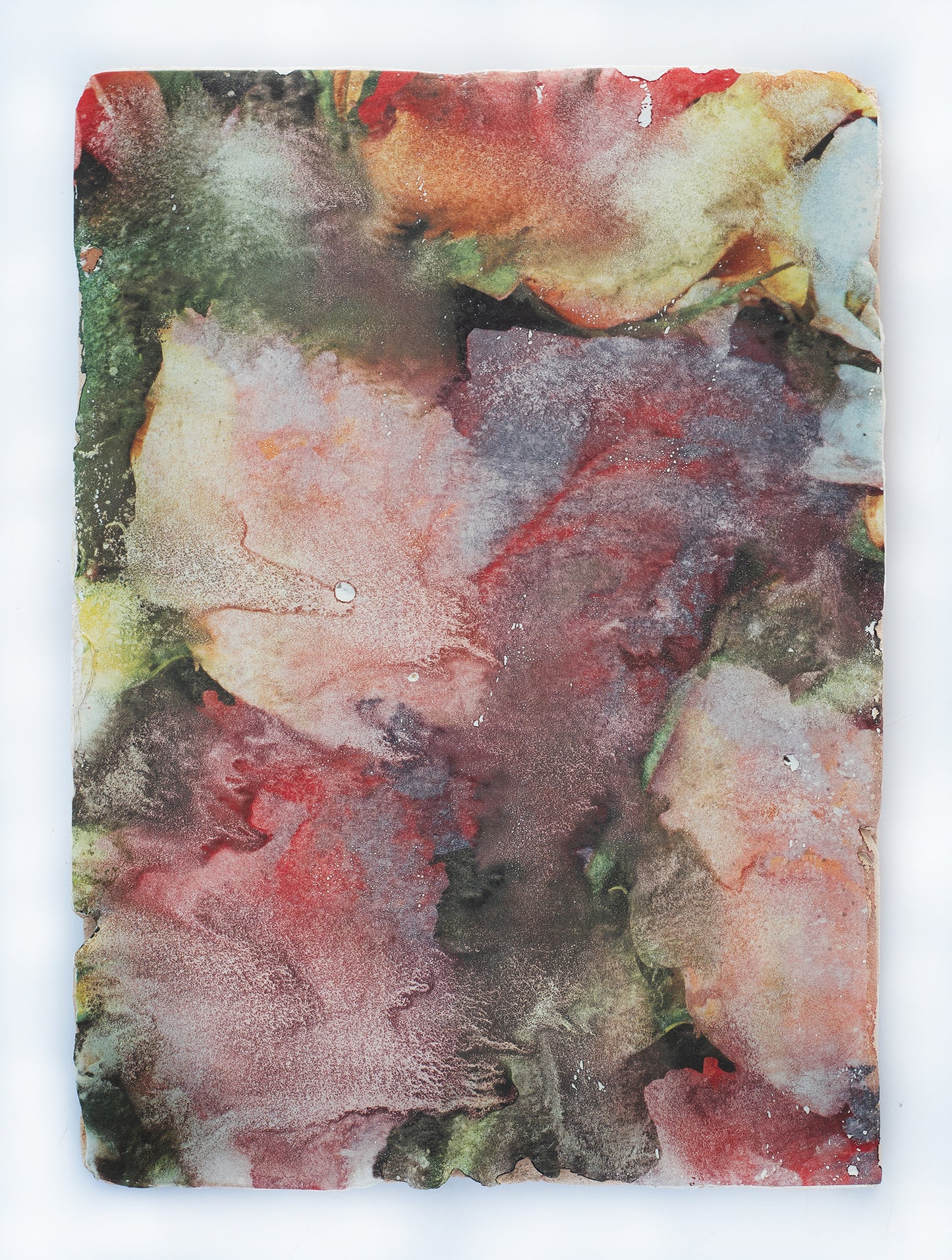 Forget me not I - Silvia Celeste Calcagno