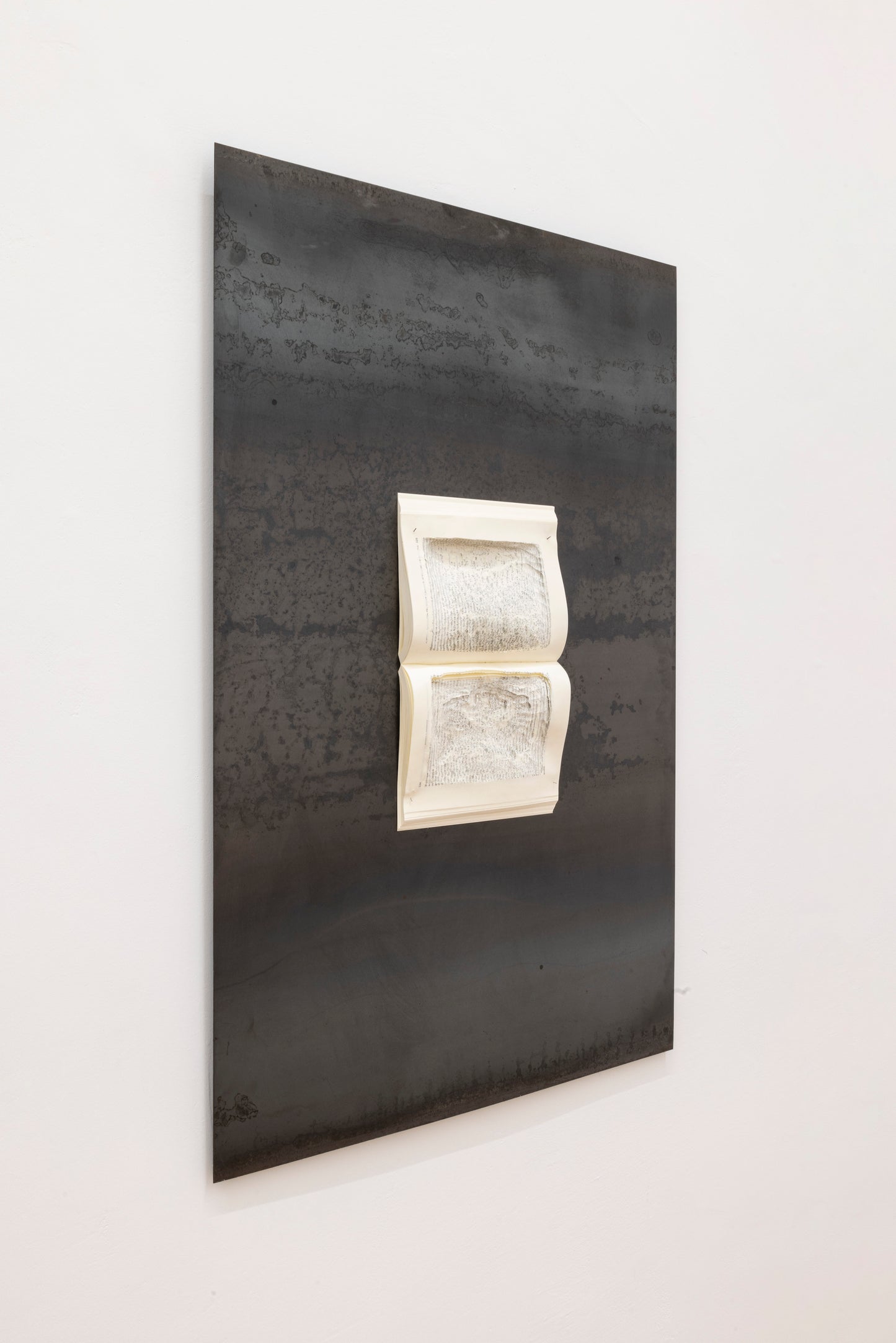 Calamina | Marco Cordero