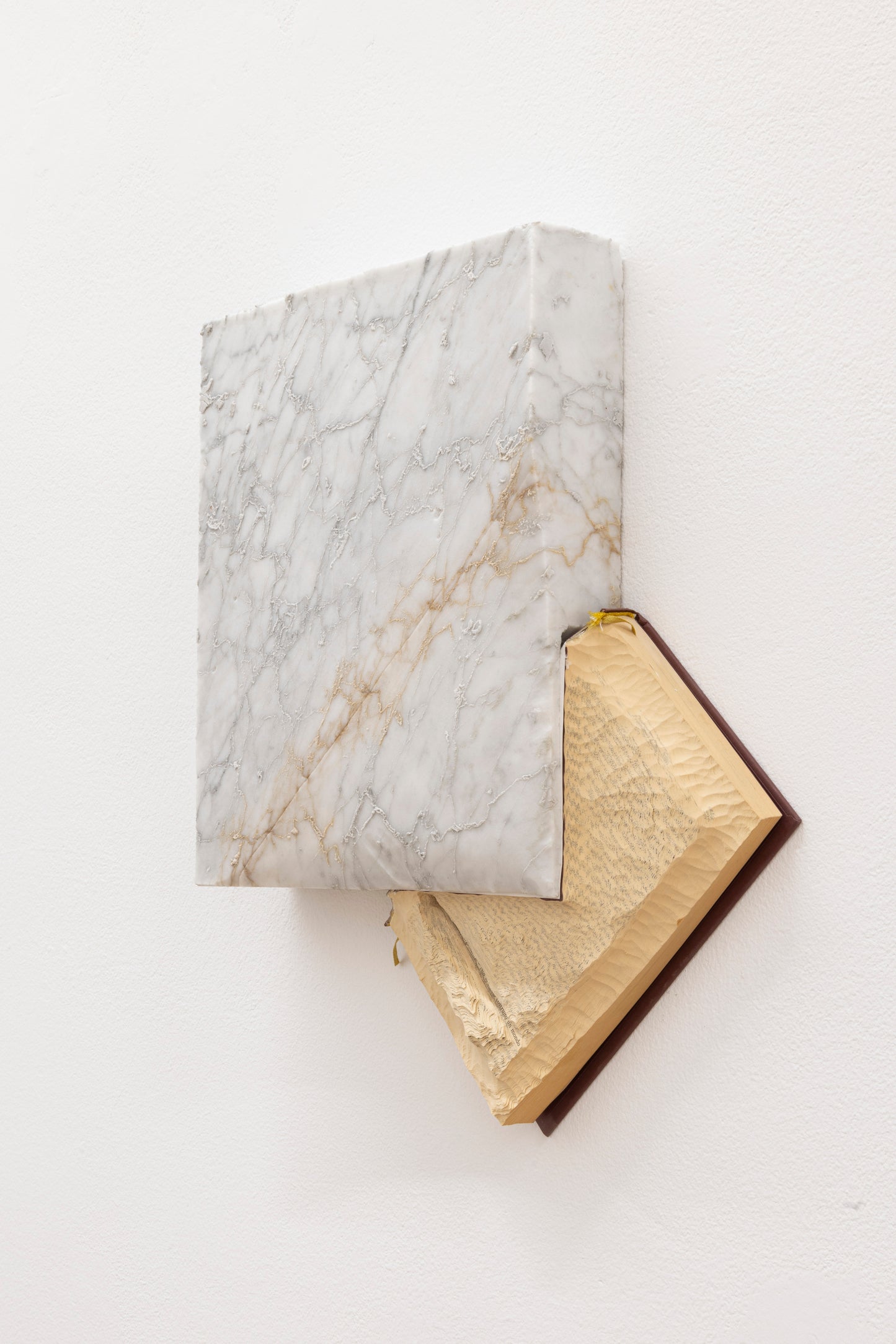 in esergo | Marco Cordero