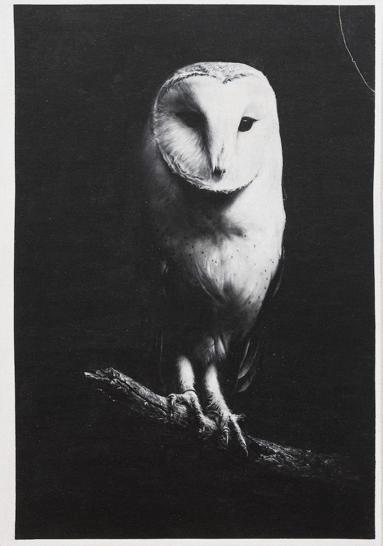 Alfabeto Blanco #5 - Giovanni Blanco