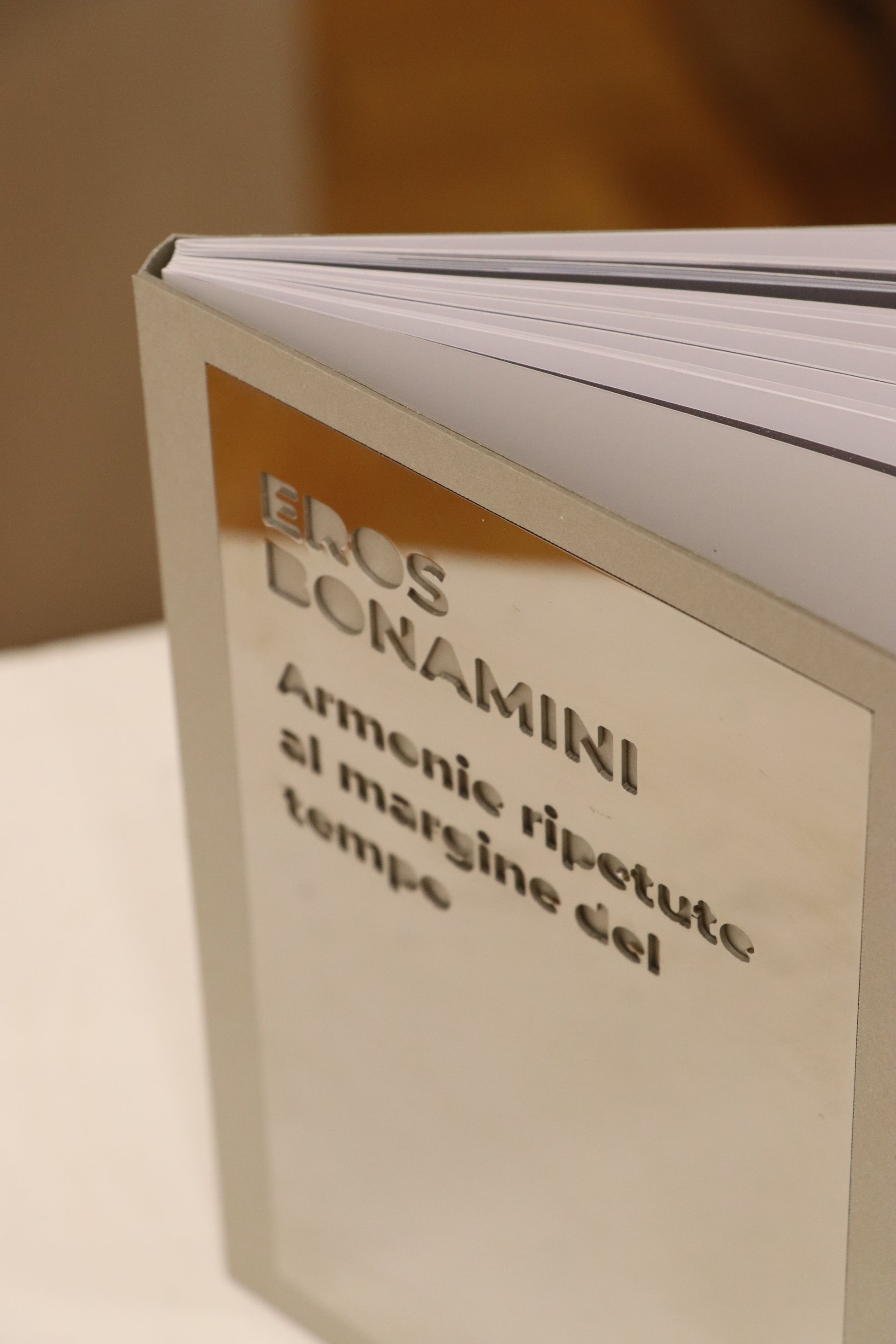 Eros Bonamini Armonie ripetute al margine del tempo