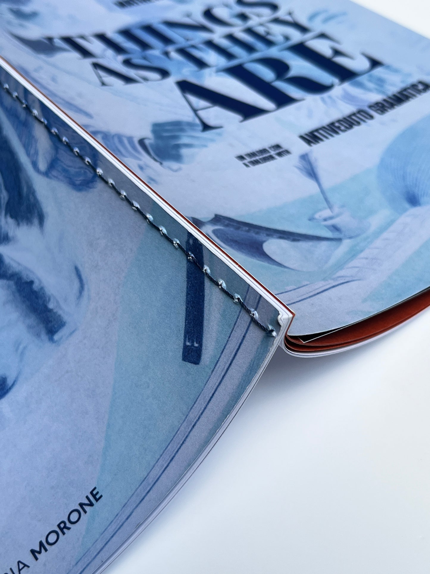 MATHEW McWILLIAMS | Things As They Are
