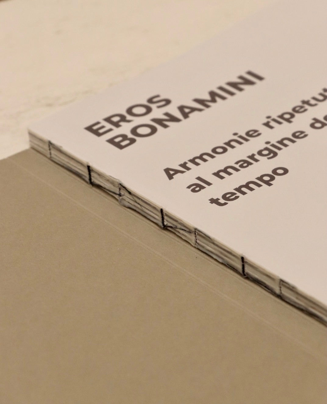 Eros Bonamini Armonie ripetute al margine del tempo