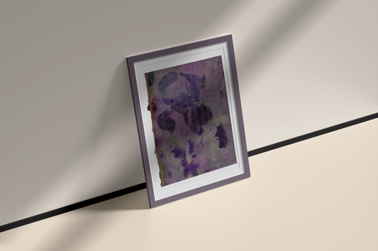 Iris III | Domenico Grenci