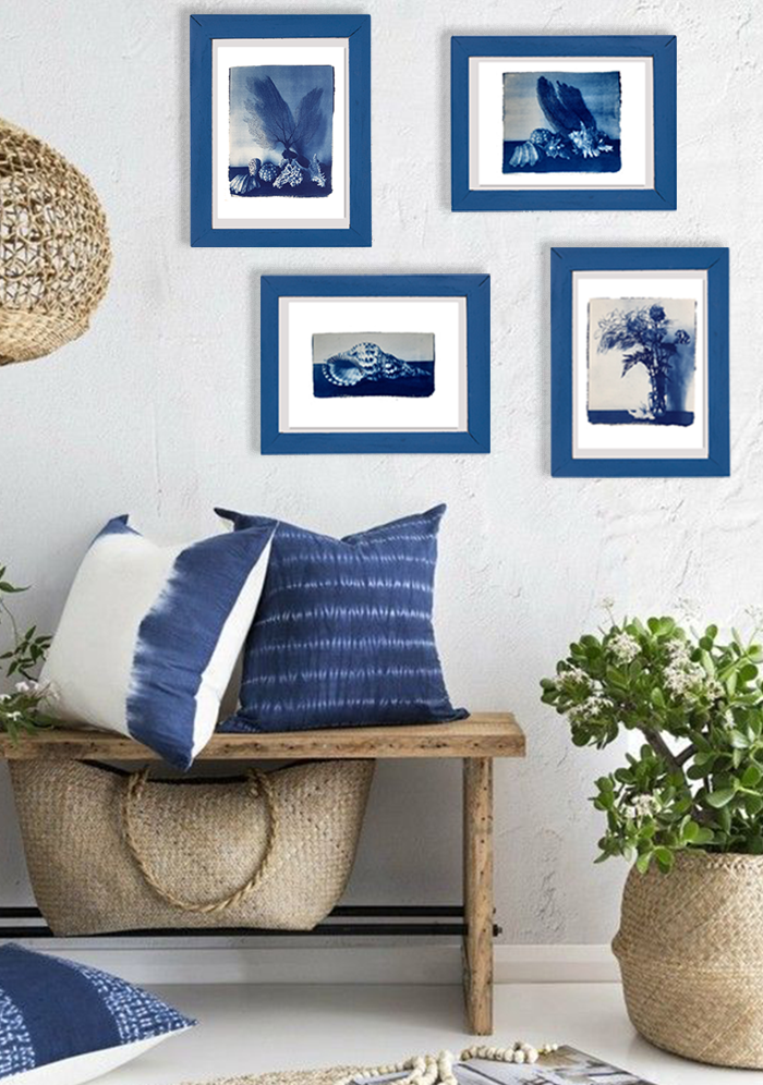 Conchiglie con corallo