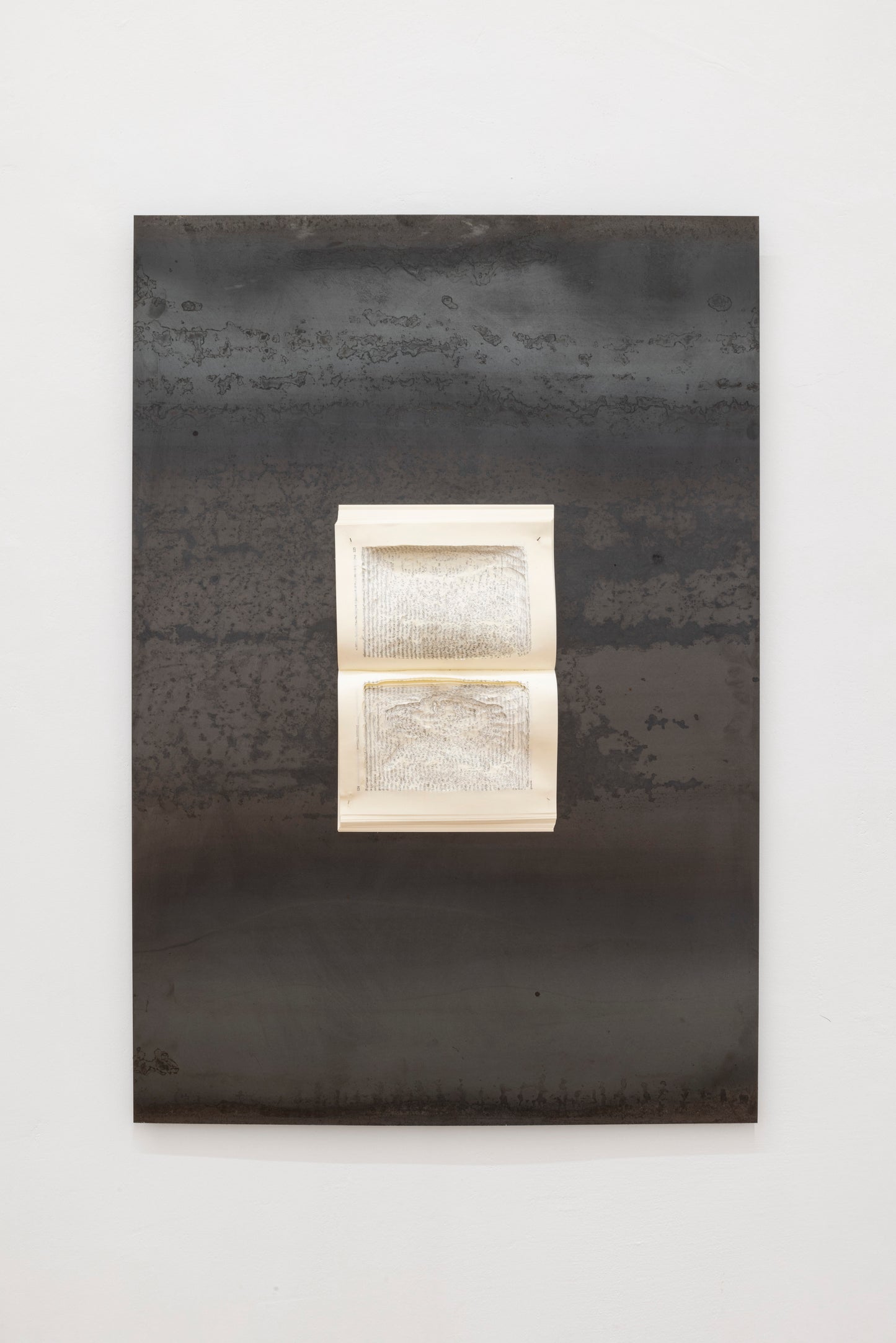 Calamina | Marco Cordero