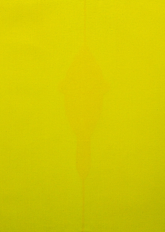 Oculto II - Madelaine Gamondés