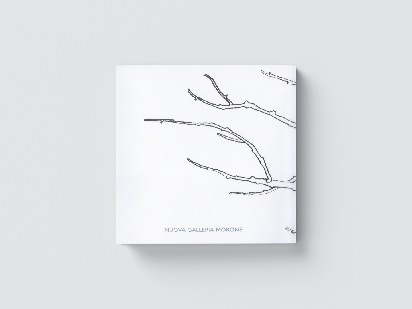 MERI GORNI ​​| Ritratti in bosco