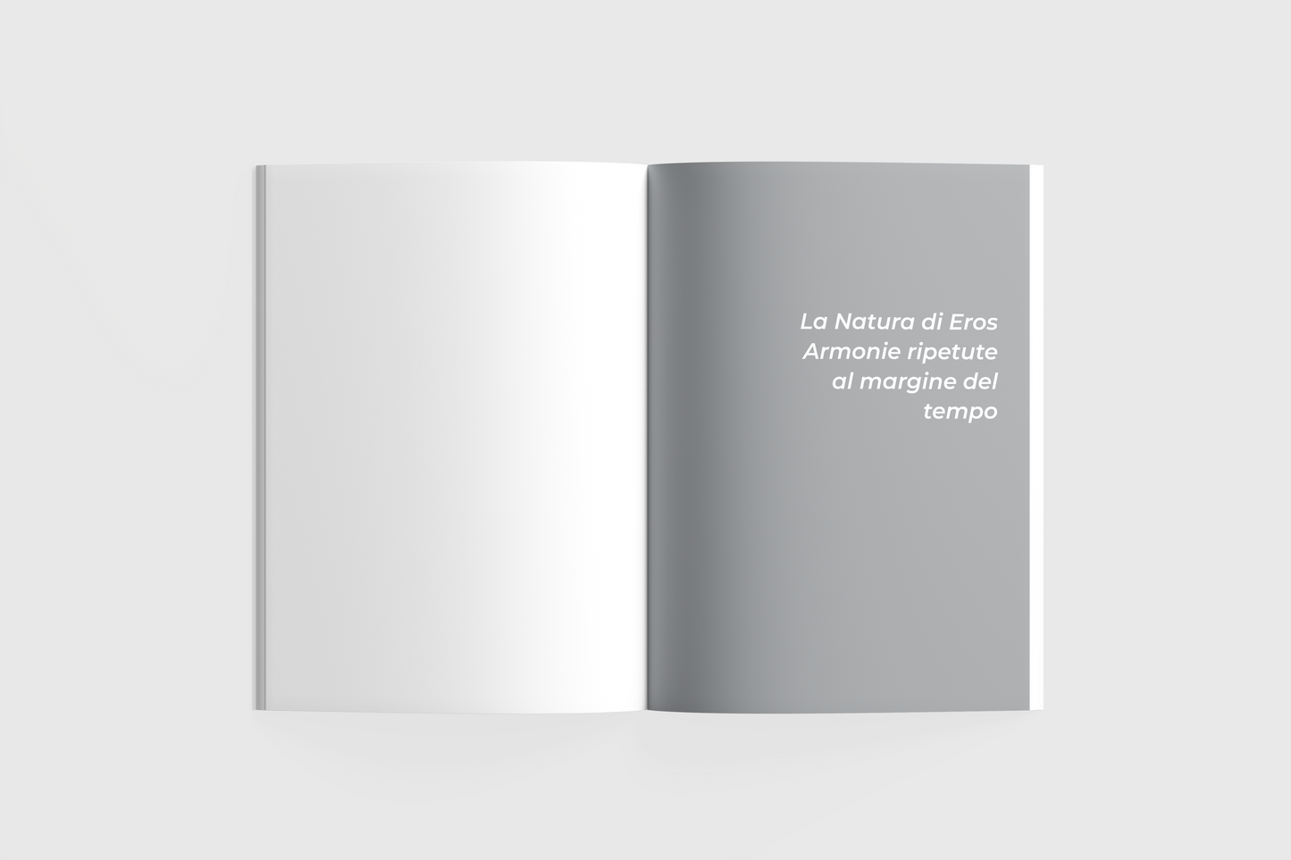 EROS BONAMINI | ARMONIE RIPETUTE AL MARGINE DEL TEMPO | Steel Edition