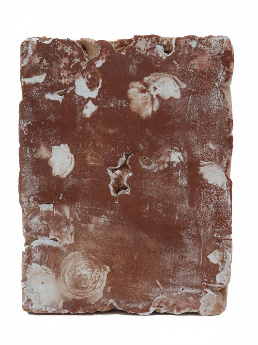 Forget me not Tulsi 3 - Silvia Celeste Calcagno