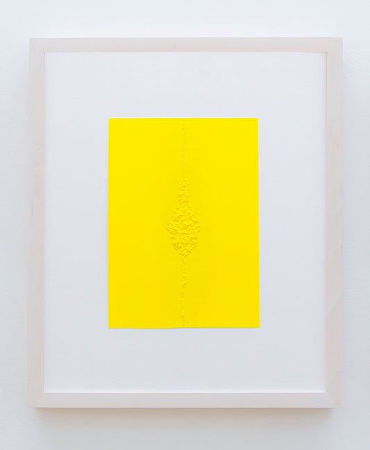 Herida 2- Madelaine Gamondés