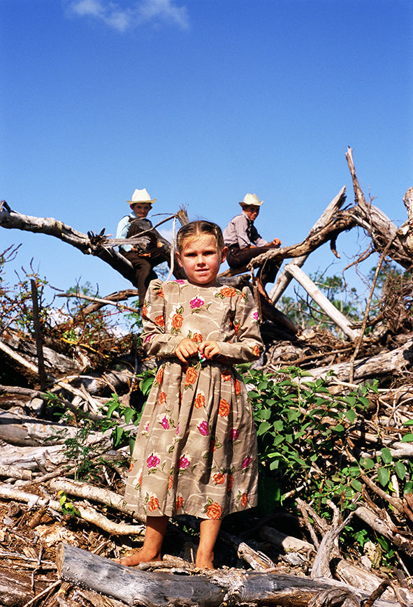Cinnamon Girl II - Félix Curto