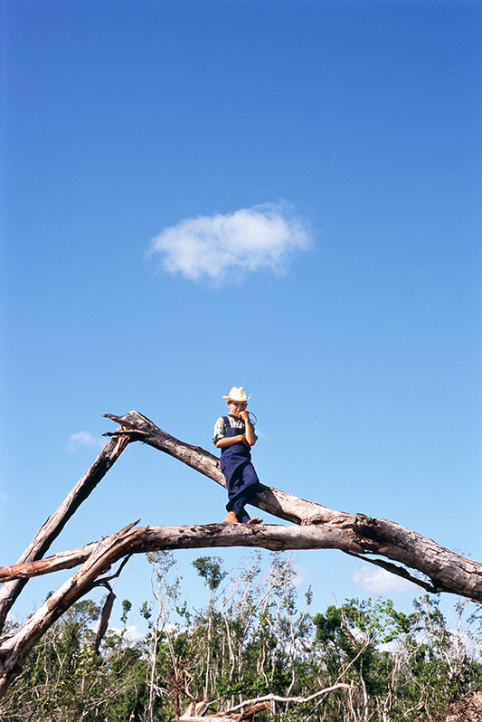 Expecting to fly - Félix Curto