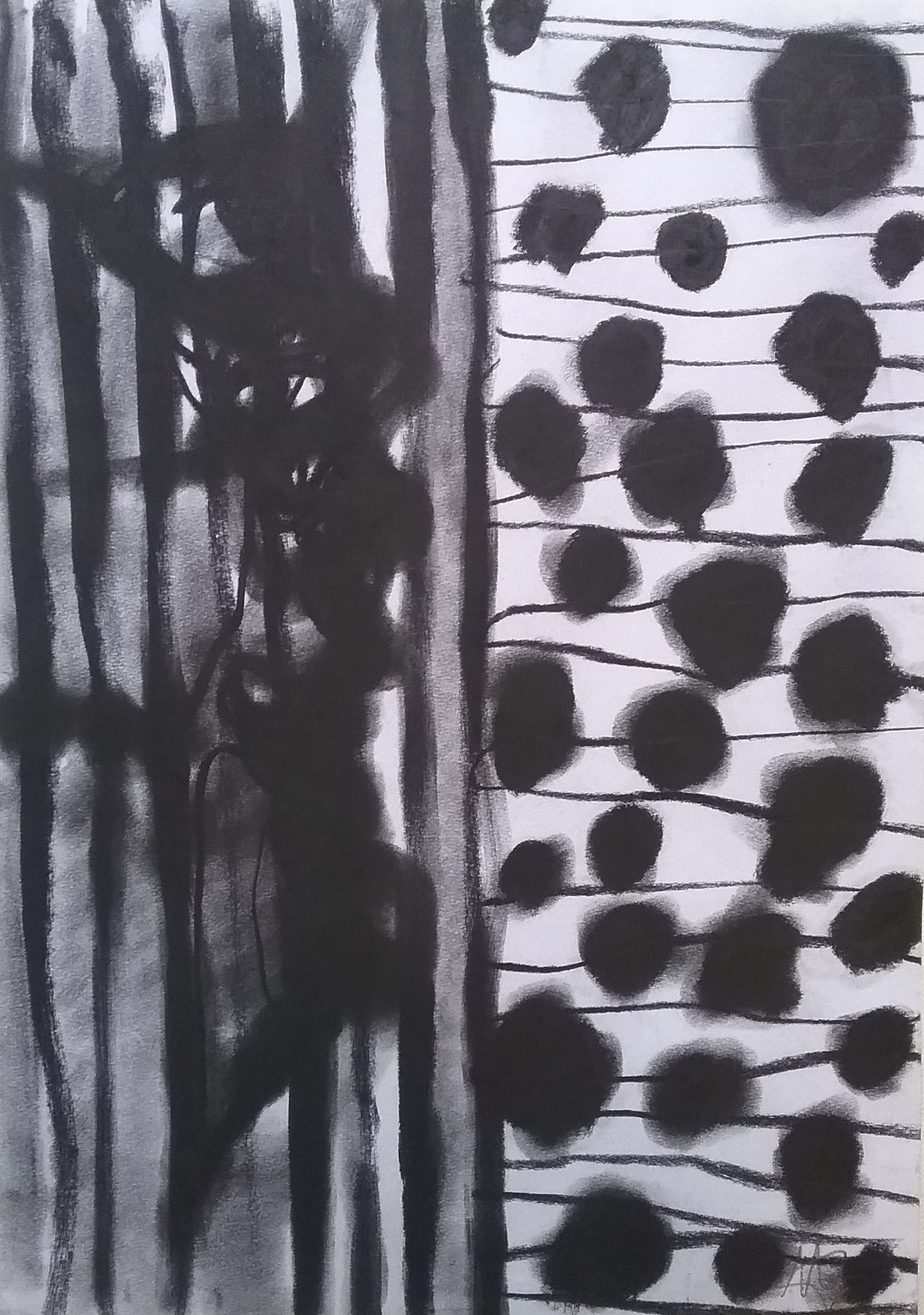 Diari 6 - Marco Grimaldi