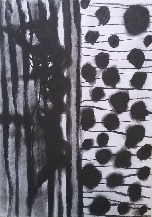 Diari 6 - Marco Grimaldi