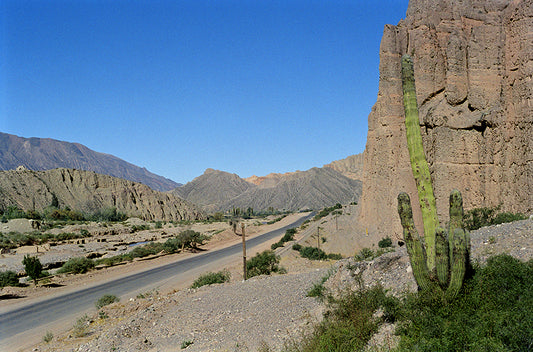 Giant Sand - Félix Curto