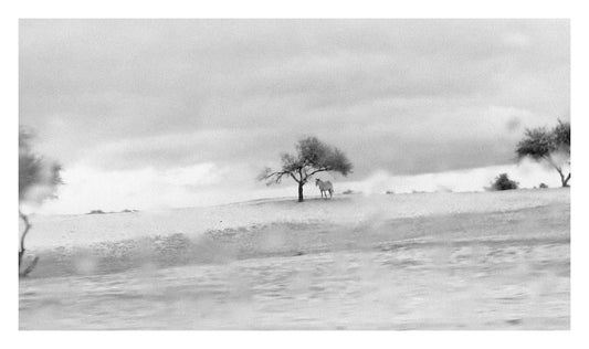 Before The Rains #2 - Alec Von Bargen