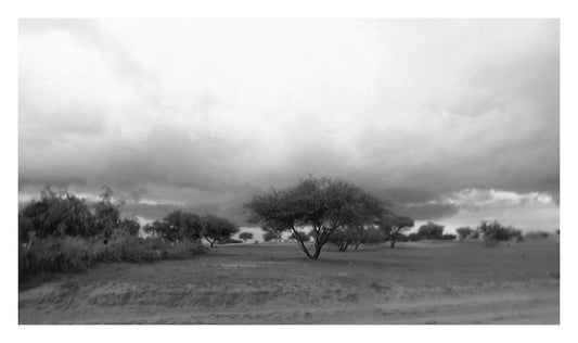 Before The Rains #5 - Alec Von Bargen