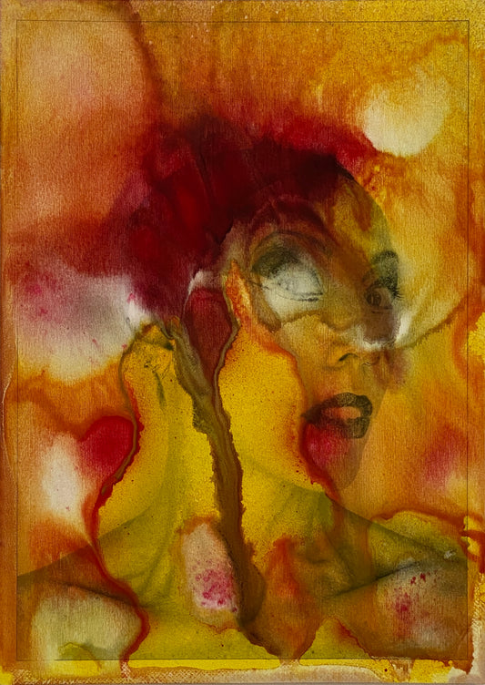 AGATHA XV - Silvia Celeste Calcagno