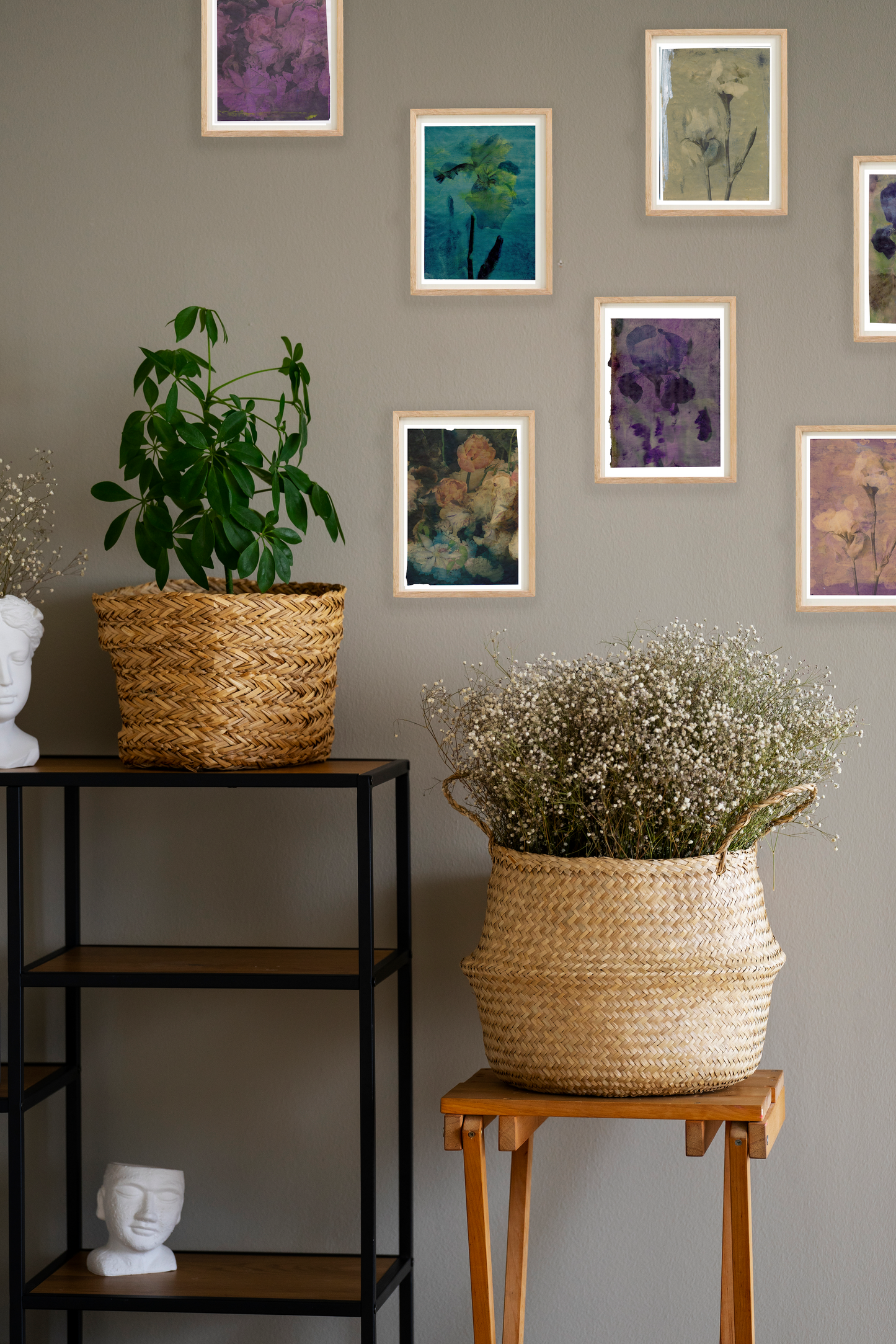 Albicans 3  | Domenico Grenci