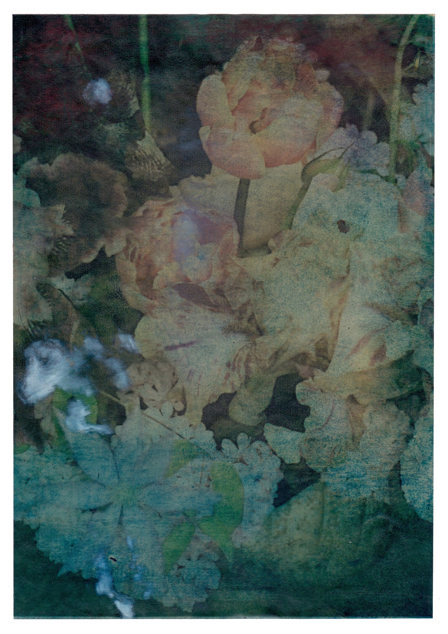 Still life composition III | Domenico Grenci